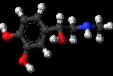 adrenaline, epinephrine, hormone