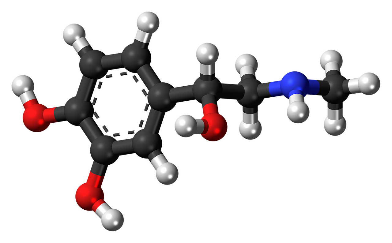 adrenaline, epinephrine, hormone